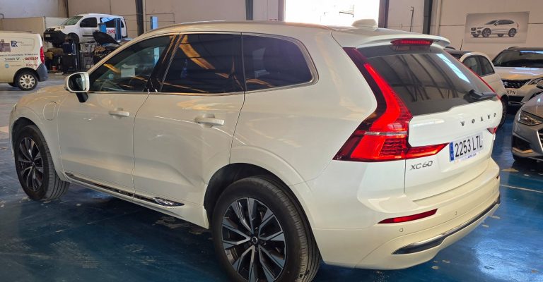 3b9690ca-29ec-476e-afd5-b94c1b1025a5